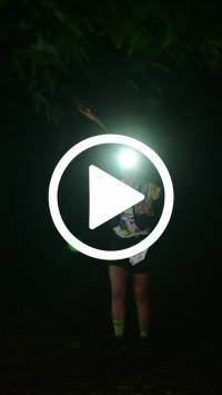 BIB:  <button type="button" onclick="openModal(27808434)" class="btn btn-primary btn-sm float-right" data-toggle="modal" data-target=".modal-high-quality">
                <i class="fa fa-download"></i> Download
                </button>